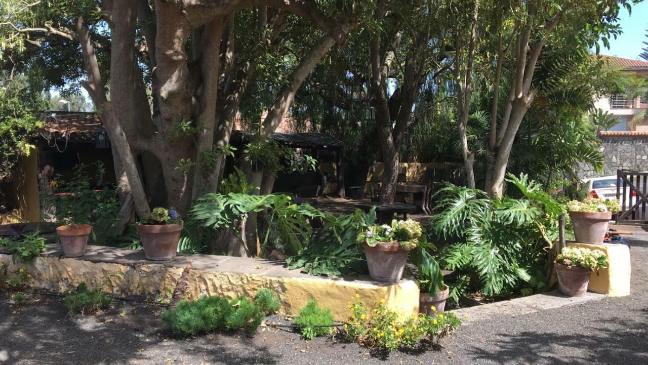 Bellasombra Suites Las Palmas de Gran Canaria Eksteriør billede