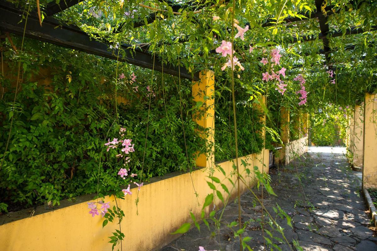 Bellasombra Suites Las Palmas de Gran Canaria Eksteriør billede